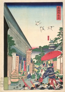 Narumi, uit de serie 